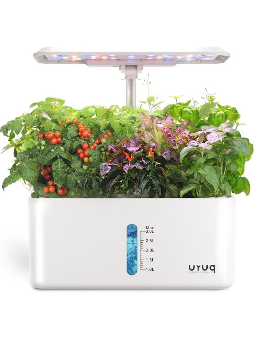 Hydroponic Growing System with 8 Pods & LED Grow Light - Indoor Garden Setup